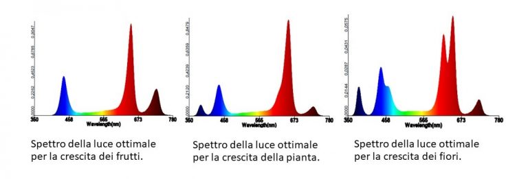 LED 2835 spettro della luce ottimale per la crescita della pianta Elektronica Refond Italy