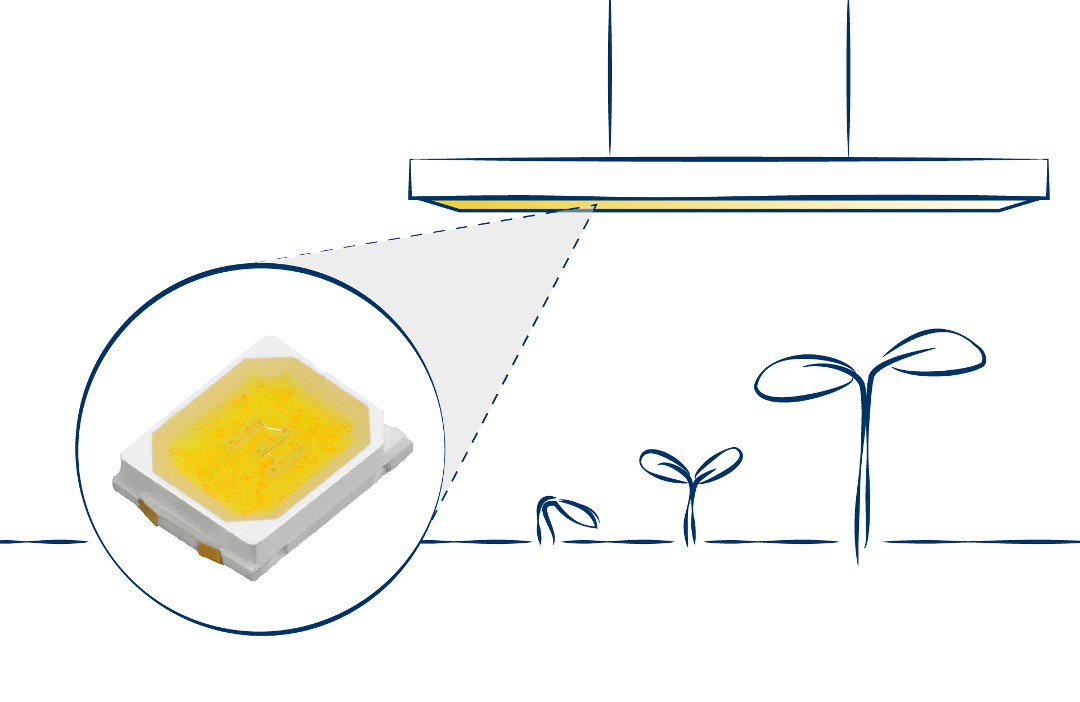 LED soluzioni customizzate per orticoltura